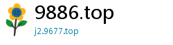 9886.top
